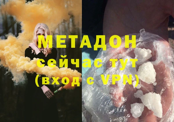 прущие грибы Абаза
